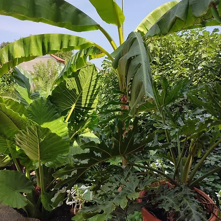 アパート Napfuerdo エゲル